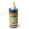 vaporizador / spray st gabriel – abre el camino