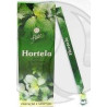 incense mint - mint