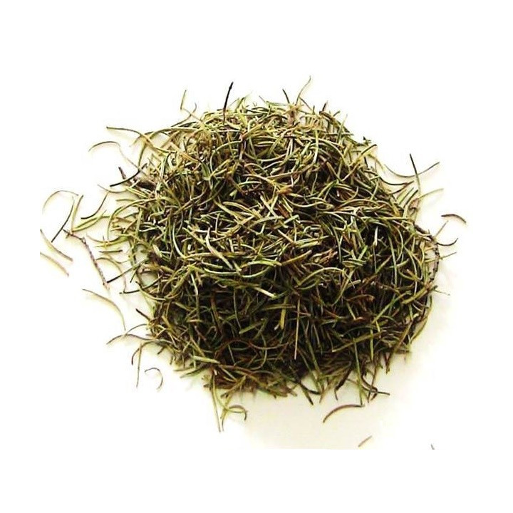 alecrim – planta 100gr