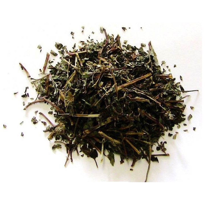 levante – planta 50gr