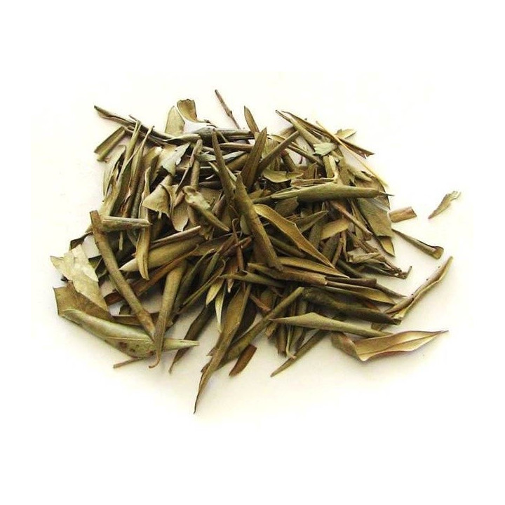 oliveira – planta 50gr