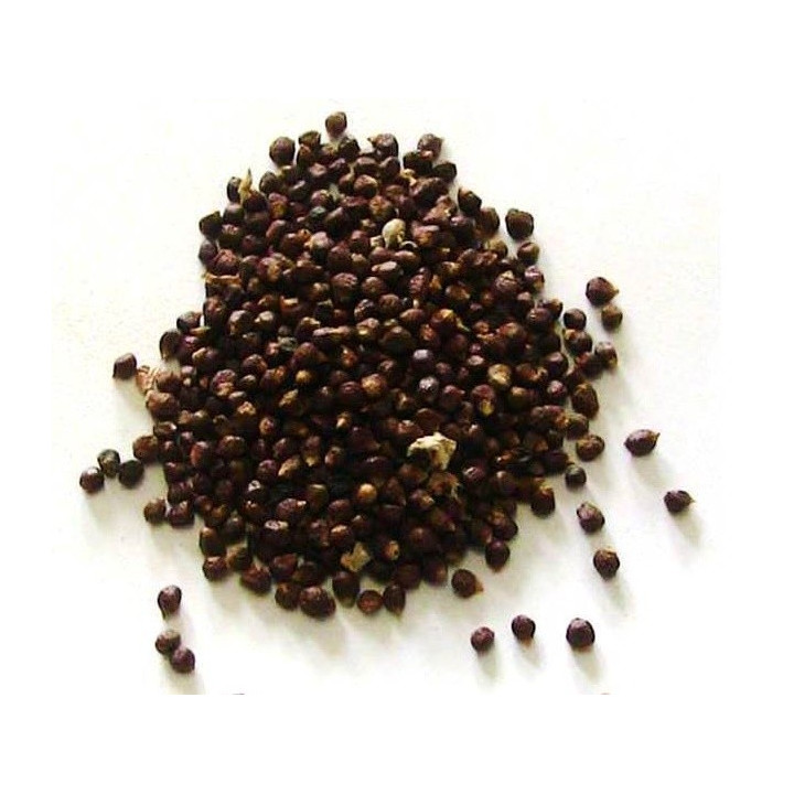 peperoncino della costa – semi 5gr