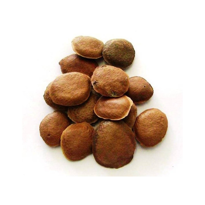 sucupira – semi 50gr