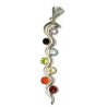 snake pendant - chakras