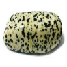 dalmatian jasper – medium