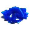 crystallized calcantite