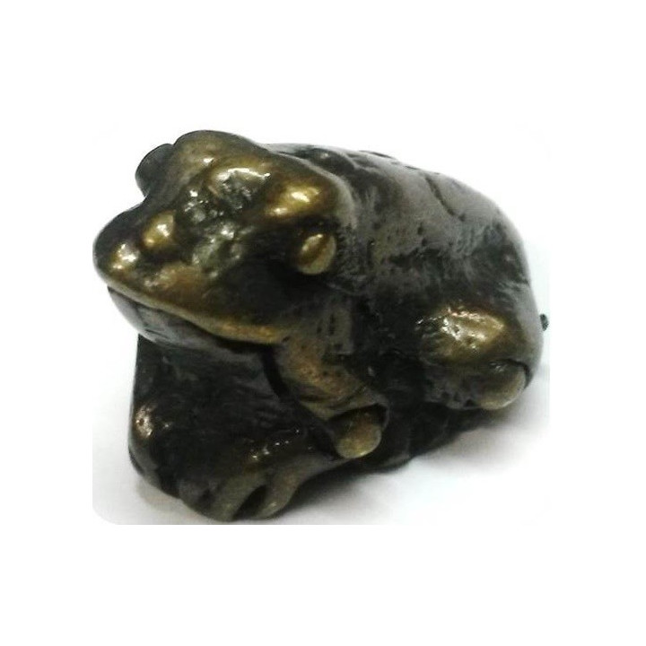 kaeru – ranuncolo della fortuna