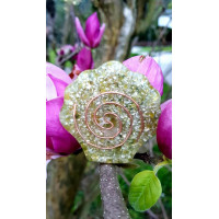 ORGONITE - SANTIAGO SHELL