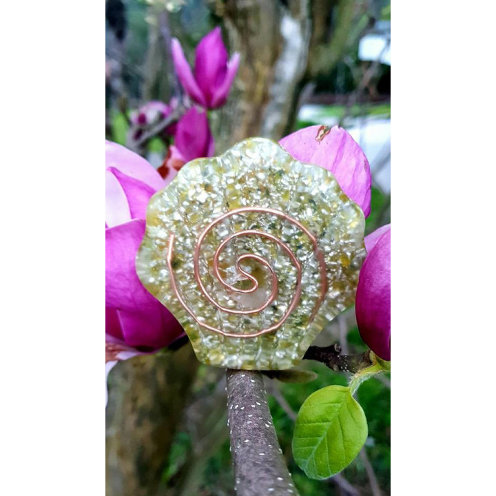 ORGONITA - CONCHA DE SANTIAGO