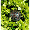 ORGONITE - MINI TOWER BUSTER - Black