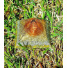 Golden Orgonite Pyramid - M