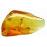 baltic amber