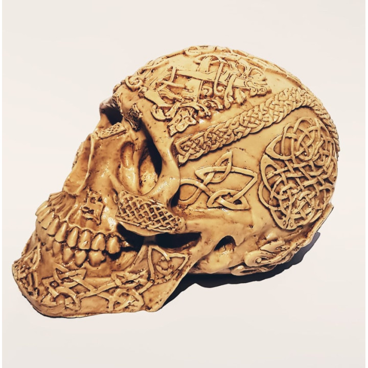 Skull Decorativa 1– 18cmX11cmX11cm