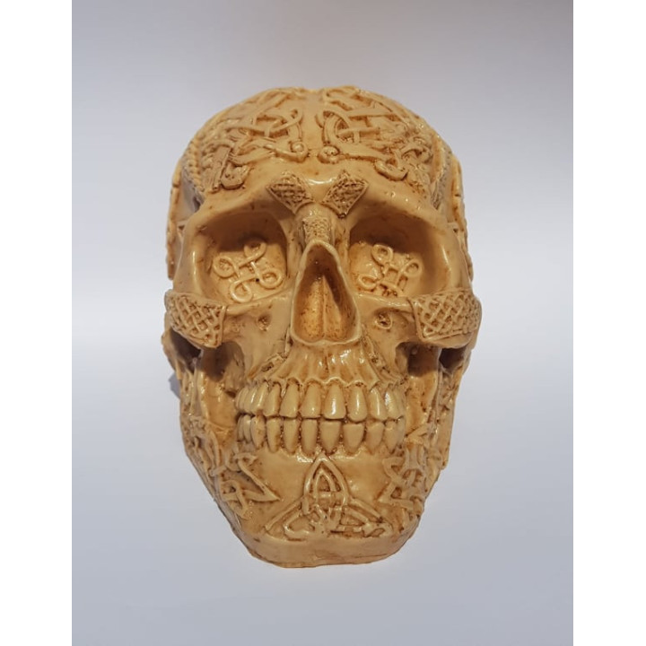 Skull Decorativa 1– 18cmX11cmX11cm