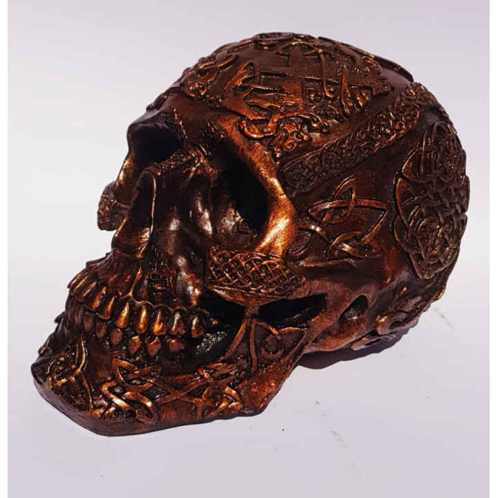 Skull Decorativa 3 - 18cm X 11cm X11cm