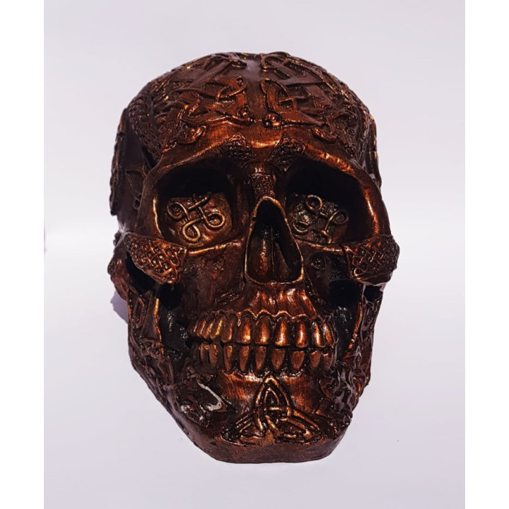 Skull Decorativa 3 - 18cm X 11cm X11cm