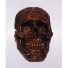 Calavera Decorativa 3 - 18cm X 11cm X11cm