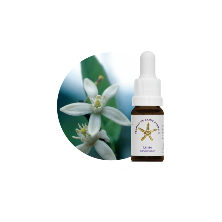 Floral Limone - 10ml