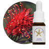 Floral Grevilia - 10ml