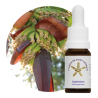 Floral Sapientum - 10ml