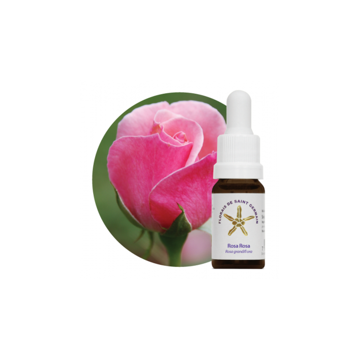 Florale Rosa Rosa - 10ml