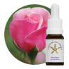 Rosa Floral Rosa - 10ml