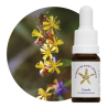 Floral Triunfo - 10ml