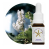 Floral Incensum - 10ml