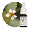 Leucantha Floral - 10ml