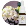 Floral Myrtus - 10ml