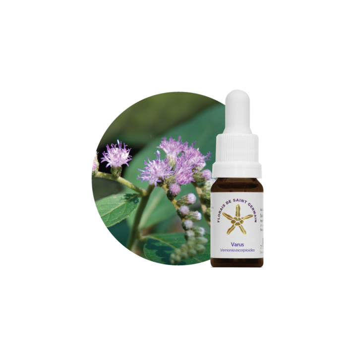 Floral Varus - 10ml