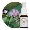 Varo Floral - 10ml