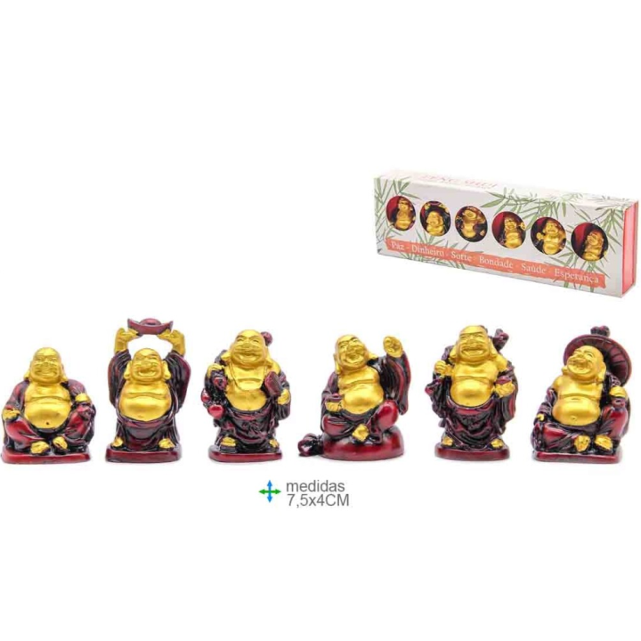 Buddha Feng Shui (6 Unid) Resina