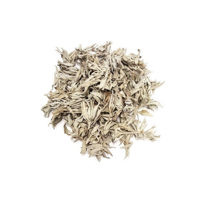 salvia bianca – pianta 1kg