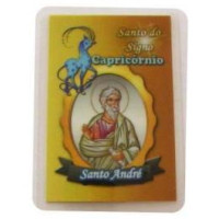 zodiac sign - capricorn / saint andre