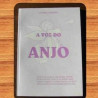 book - the voice of the angel